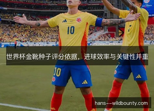 世界杯金靴种子评分依据，进球效率与关键性并重